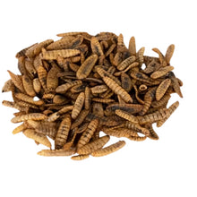 Load image into Gallery viewer, Dried Black Soldier Fly Larvae (1.5KG to 6KG Options)