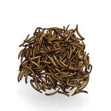 Load image into Gallery viewer, Dried Superworms (80g and Bulk Purchase Options)