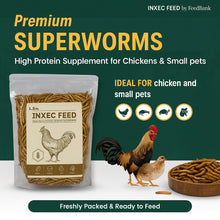 Load image into Gallery viewer, Dried Superworms (80g and Bulk Purchase Options)