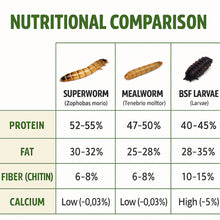 Load image into Gallery viewer, Dried Superworms (80g and Bulk Purchase Options)
