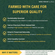 Load image into Gallery viewer, Dried Mealworms (1KG to 6KG Options)