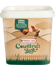 Load image into Gallery viewer, Versele-Laga Vitamin Treats Grit Minavital 4KG