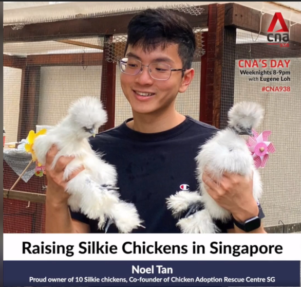 Media Feature on Channel News Asia (CNA938) (June 2021)