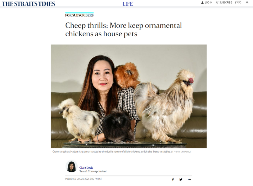 Media Feature on Silkie Chickens on The Straits Times (July 2021)