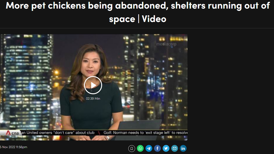 Media Feature on CNA News (15 November 2022)