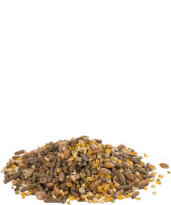 Versele-Laga Mini Layer Grain Mix 10KG (2 x 5KG bags)