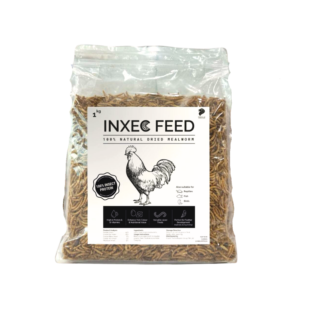 Dried Mealworms (1KG to 6KG Options)