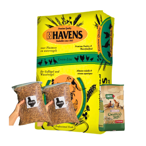HAVENS Large Flock Bundle (With Grit)