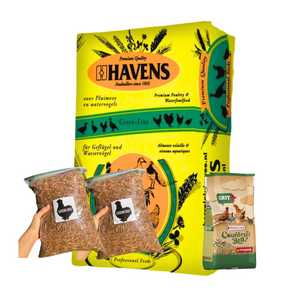 HAVENS Large Flock Bundle