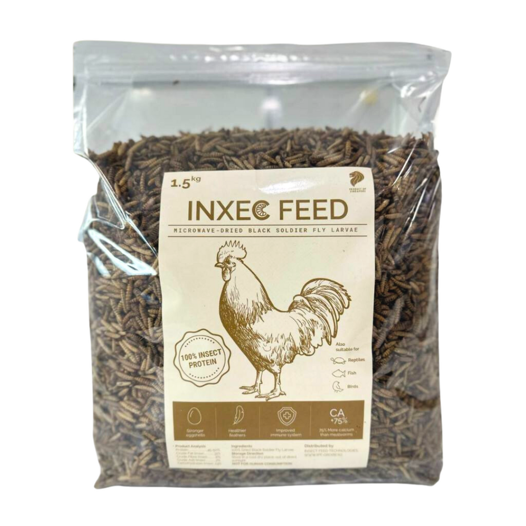 Dried BSF Larvae (1.5KG to 6KG Options)