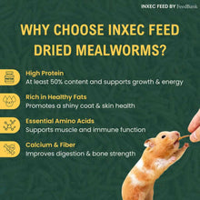 Load image into Gallery viewer, Dried Mealworms (1KG to 6KG Options)
