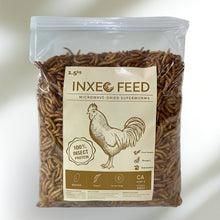 Load image into Gallery viewer, Dried Superworms (80g and Bulk Purchase Options)
