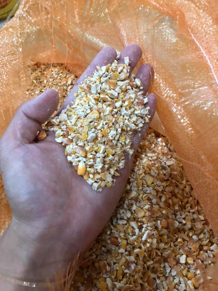 Premium Australian Cracked Corn 20KG