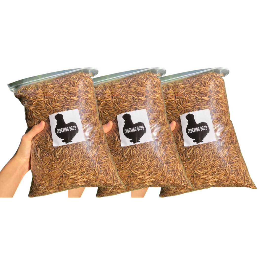 Dried Mealworms 3KG (Trio Pack!)