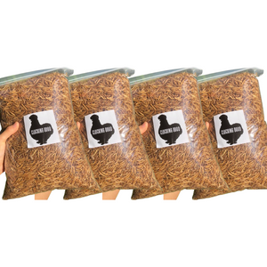 Dried Mealworms 4KG (Quad Pack!)