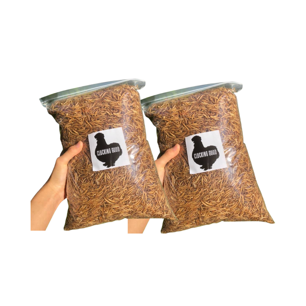 Dried Mealworms 2KG (Twin Pack!)